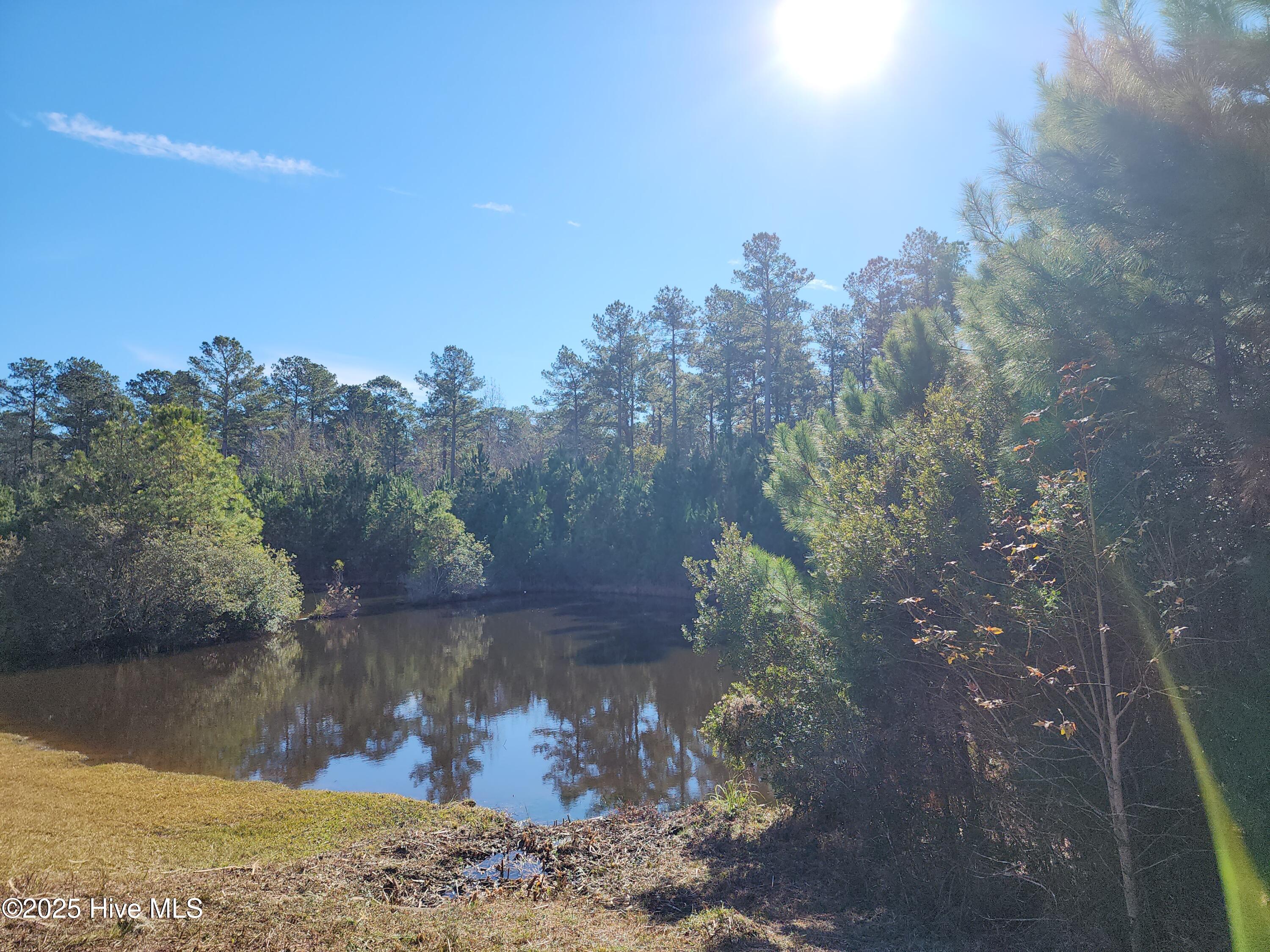 3004 Watercrest Loop New Bern, NC 28562 - Photo 5 of 11 1000010754