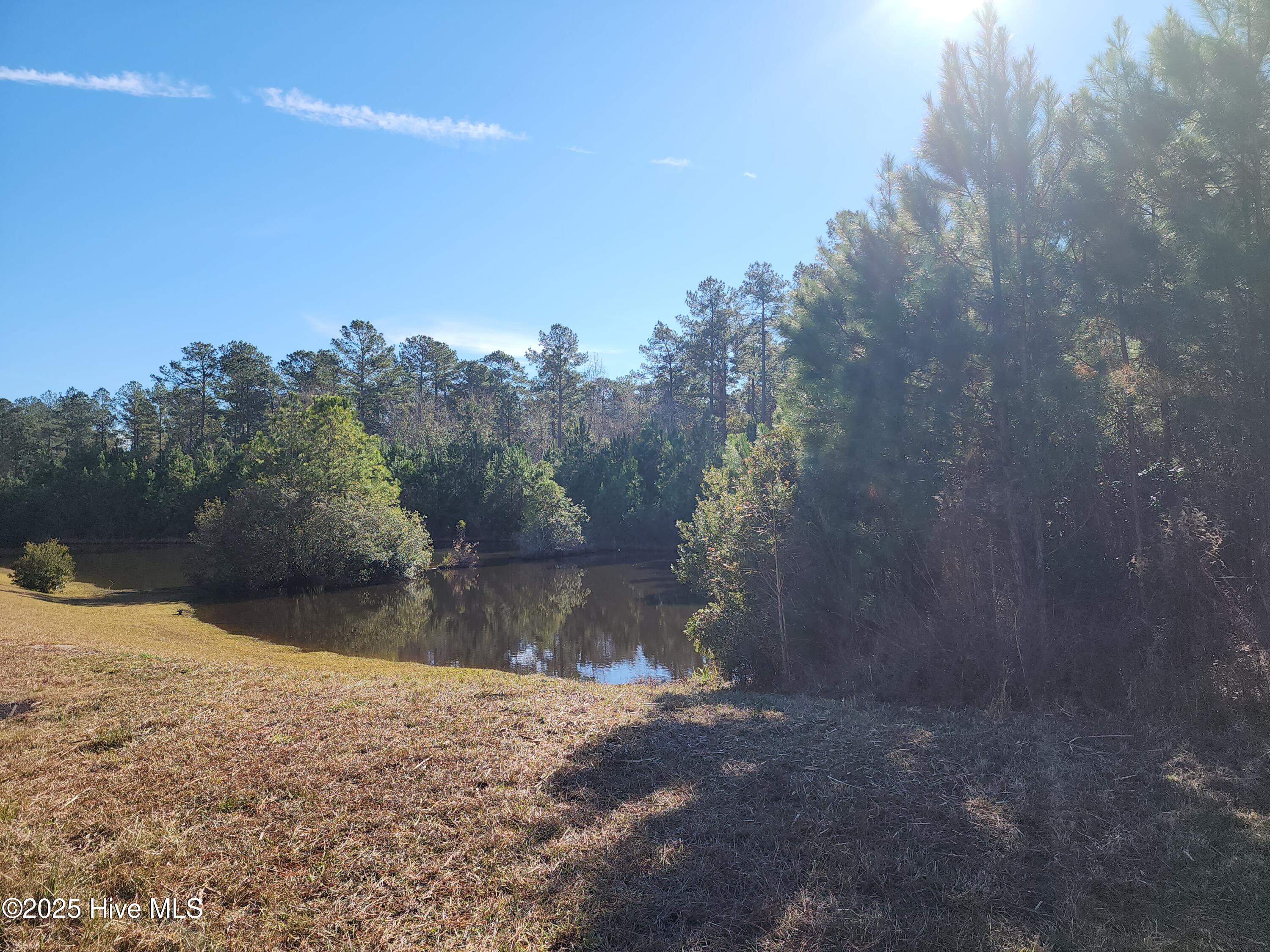 3004 Watercrest Loop New Bern, NC 28562 - Photo 6 of 11 1000010751