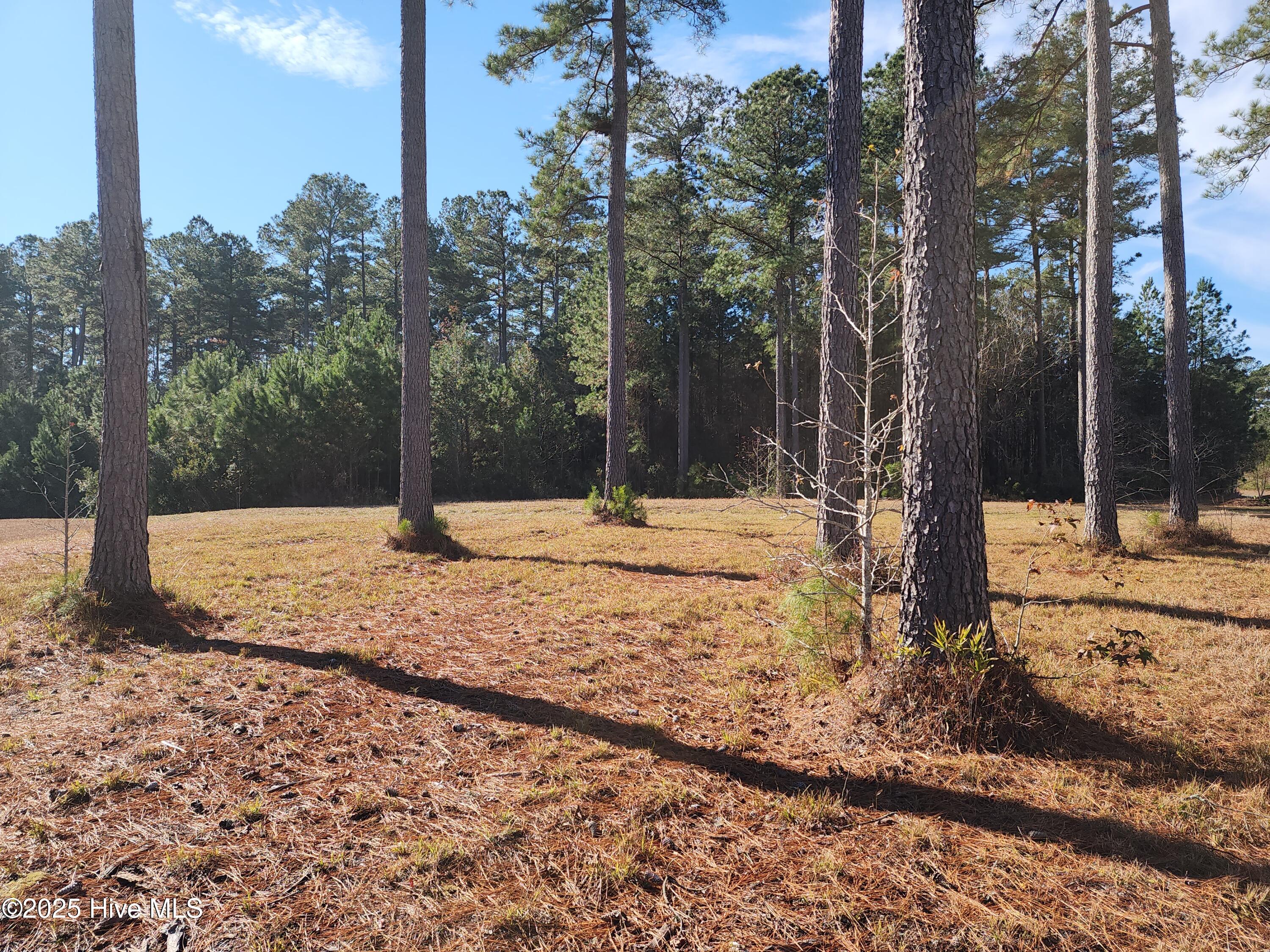 3004 Watercrest Loop New Bern, NC 28562 - Photo 7 of 11 1000010761