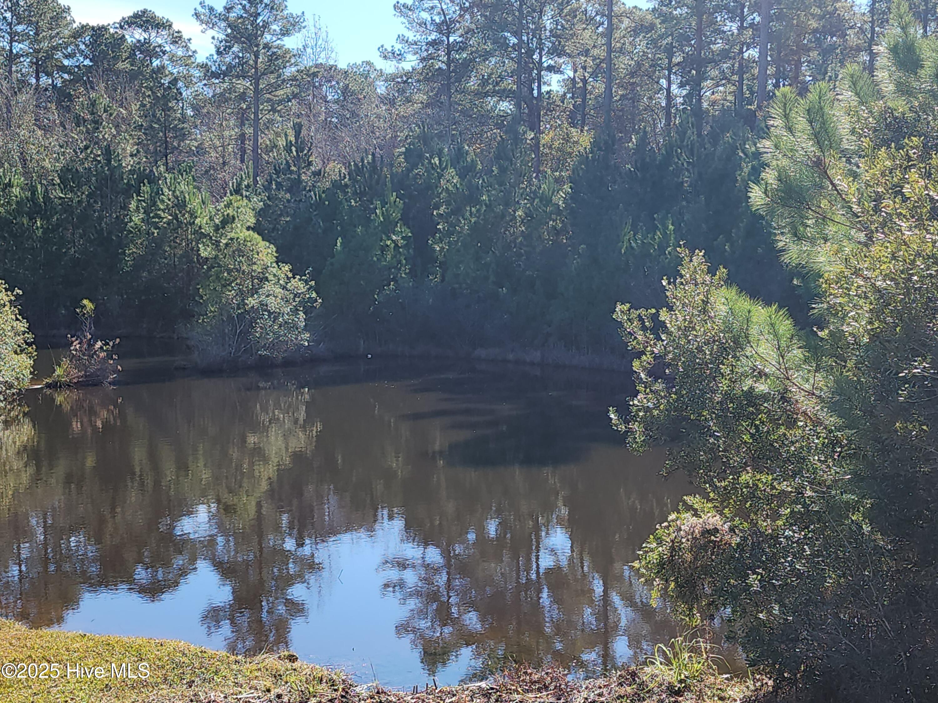 3004 Watercrest Loop New Bern, NC 28562 - Photo 8 of 11 1000010755