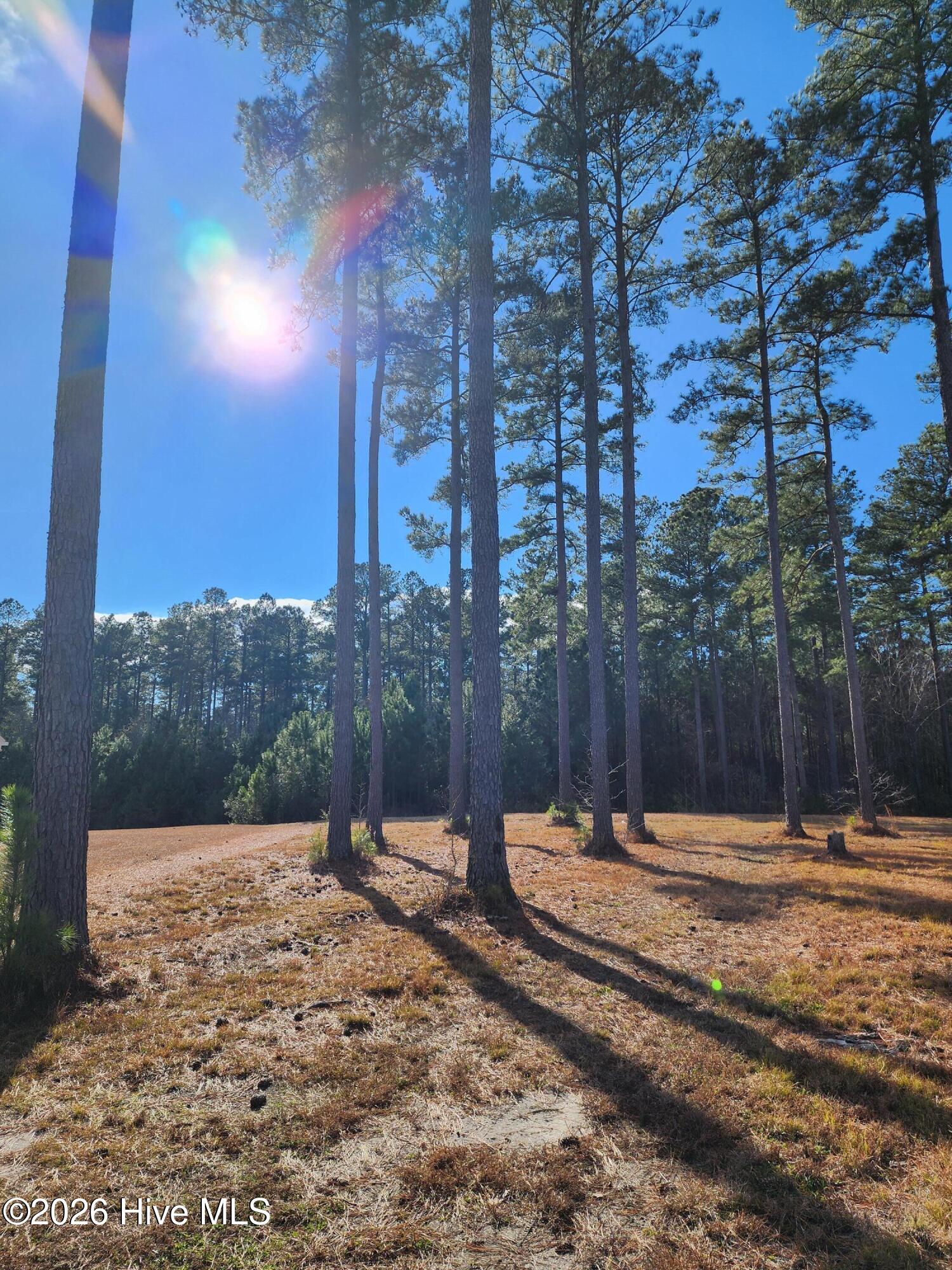 3004 Watercrest Loop New Bern, NC 28562 - Photo 9 of 11 lot 1