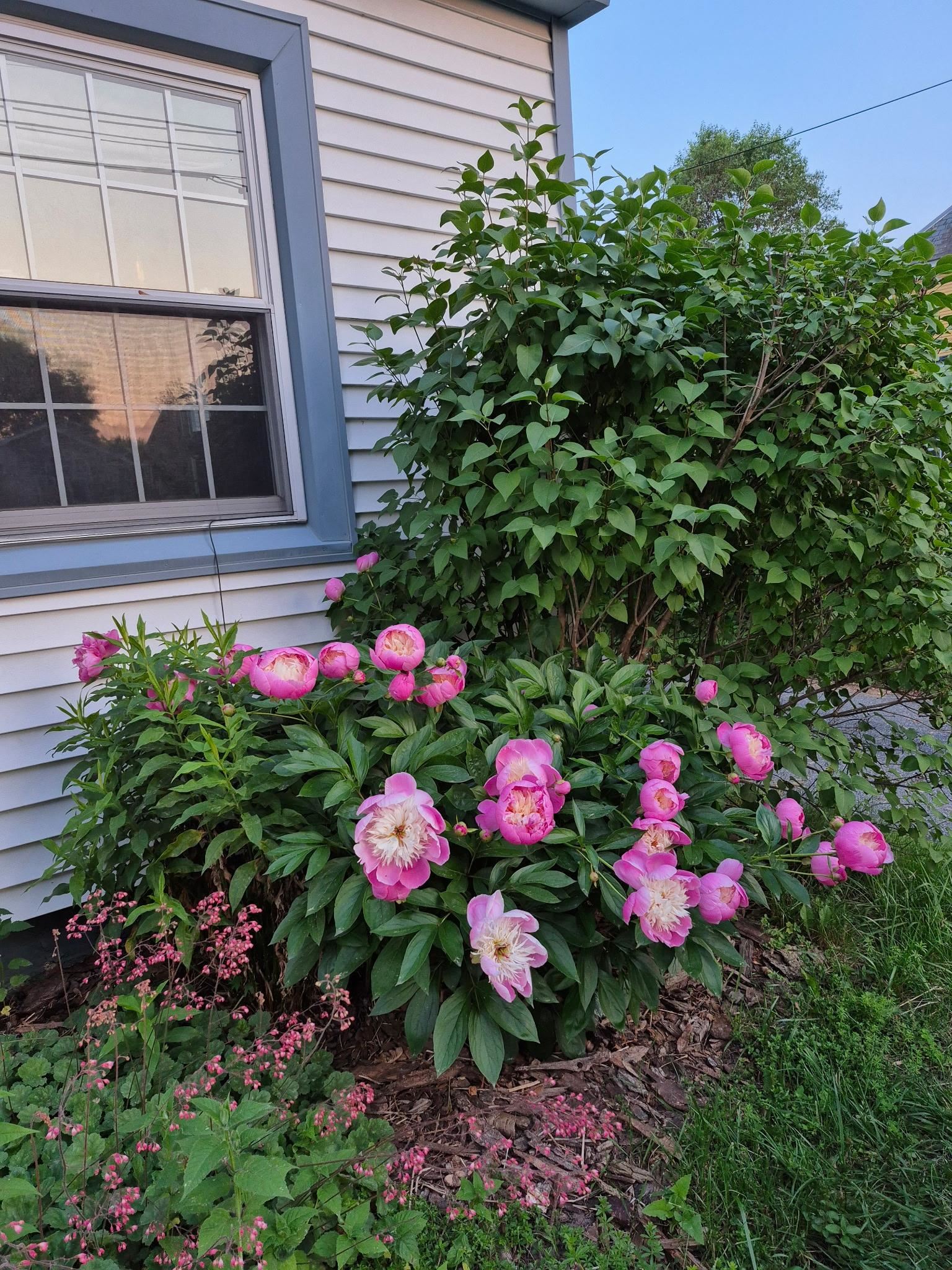 93 Russell Street Winooski, VT 05404 - Photo 19 of 20