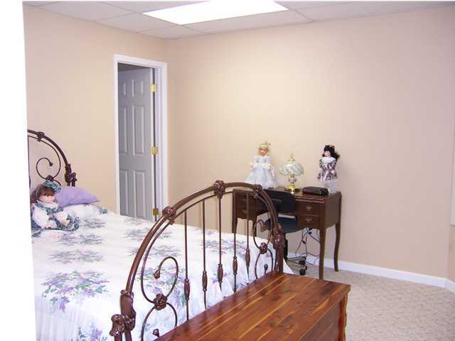 224 Anderson Cabin Road Georgetown, TN 37336 - Photo 24 of 25 Additional Photo