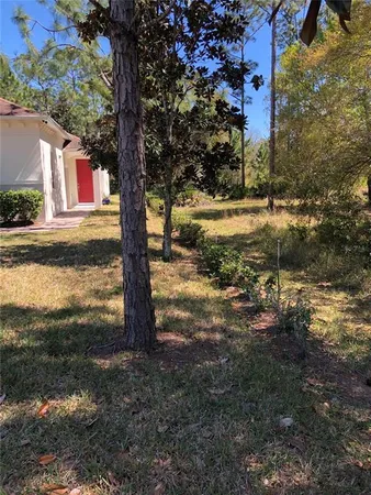 a view of a yard with plants and trees