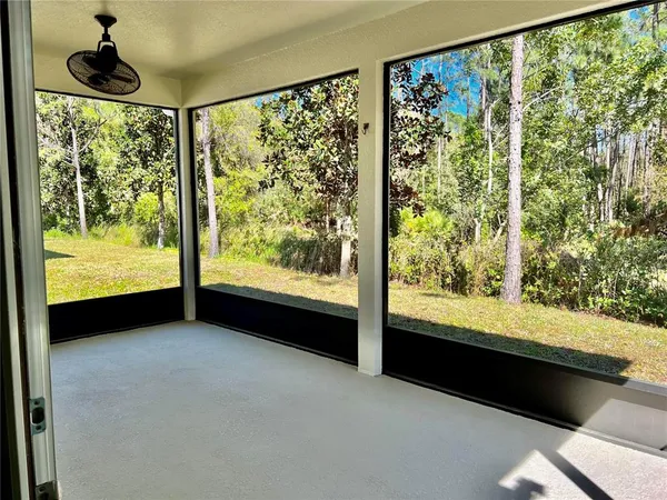 a view of backyard with large windows and plants