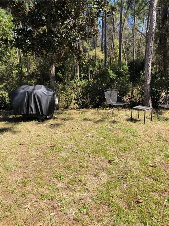a view of a yard with plants and trees