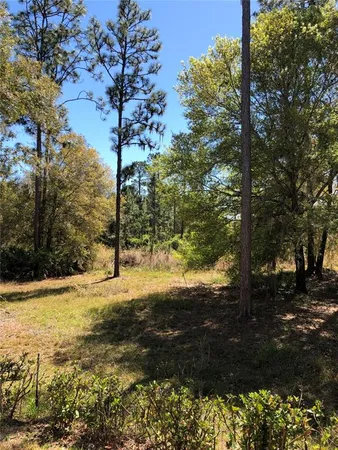 a view of a lake view