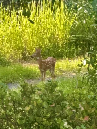 $463,000 | 2301 Avellino Avenue, St. Cloud, FL 34771