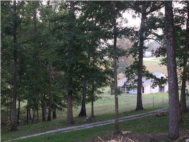 2875 West Nickajack Road Ringgold, GA 30736 - Photo 4 of 9 Additional Photo
