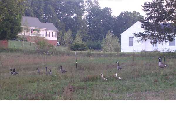 2875 West Nickajack Road Ringgold, GA 30736 - Photo 8 of 9 Additional Photo