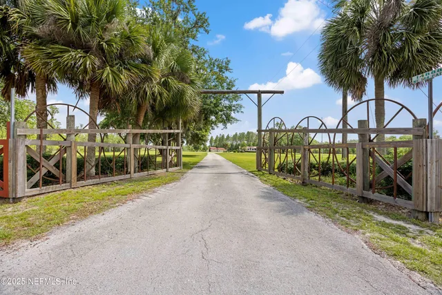 a view of a park with palm trees