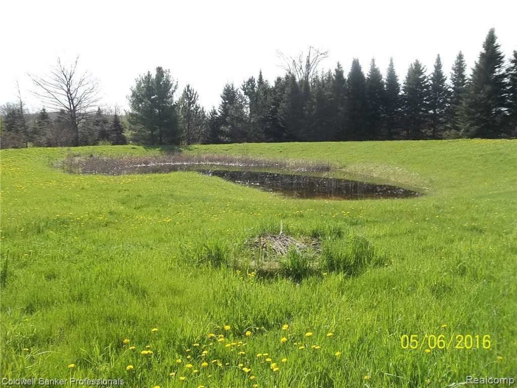 3817 Jones Road North Branch, MI 48461 - Photo 7 of 32 100_1669.JPG