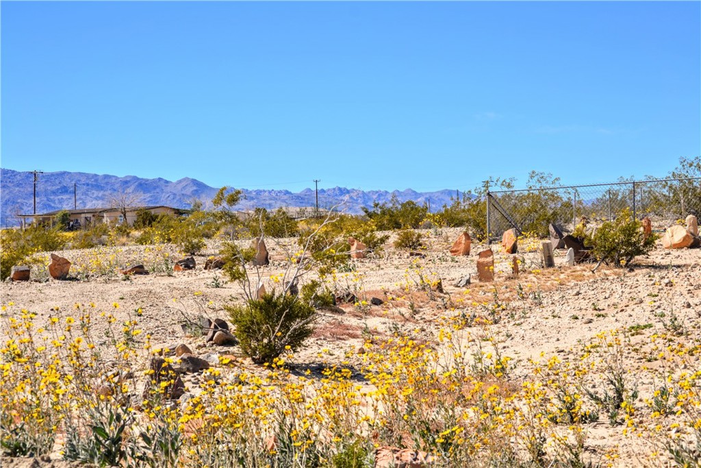 4040 Peter Rabbit Trail Twentynine Palms, CA 92277 - Photo 3 of 28 a view of a city