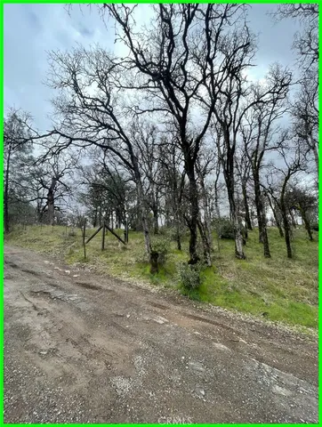 a view of a field with trees
