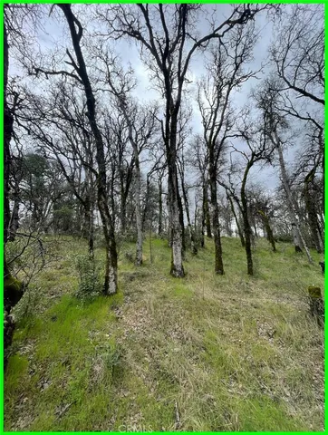 a view of outdoor space with trees