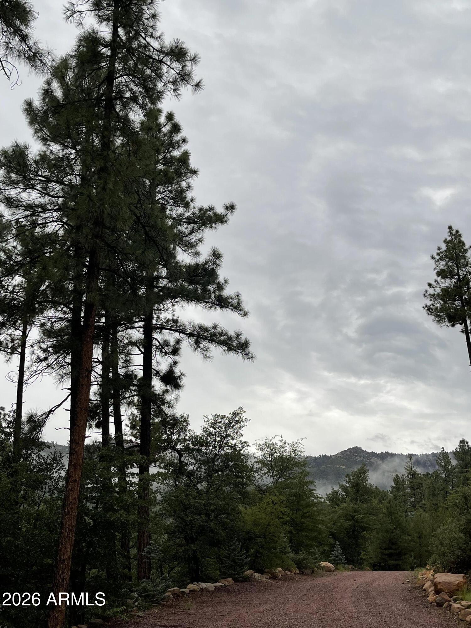 415 East Rim Estates Trail Payson, AZ 85541 - Photo 76 of 76 a view of a lake with lots of trees
