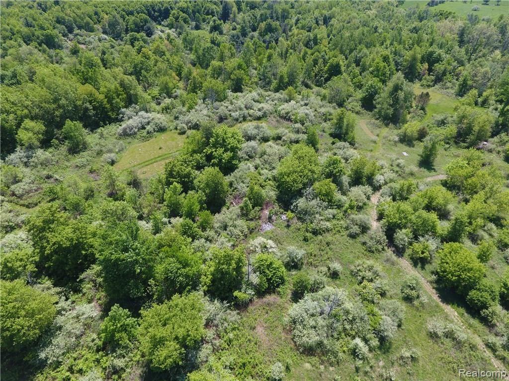 Vl Slattery Road Attica, MI 48412 - Photo 14 of 21