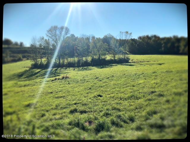 1345 Phillips Road Springville, PA 18844 - Photo 49 of 54 a view of a field with a tree in the background