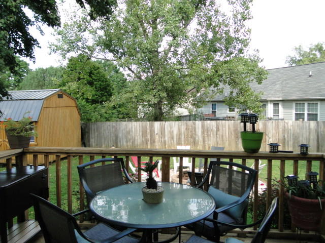 4904 Inskip Road Knoxville, TN 37918 - Photo 27 of 28 yard1