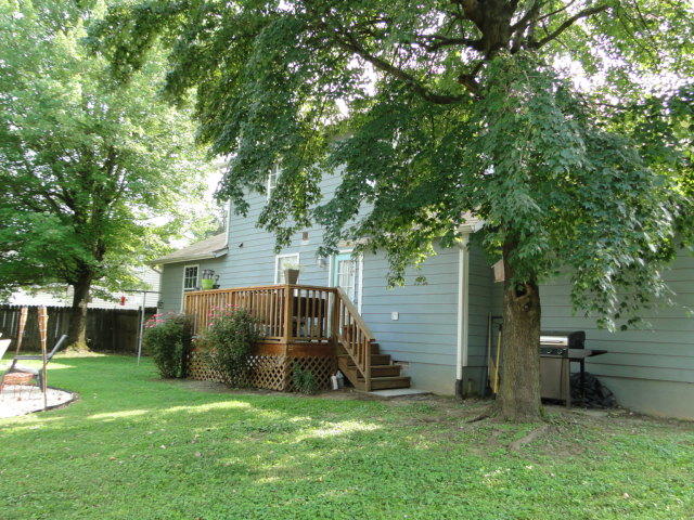 4904 Inskip Road Knoxville, TN 37918 - Photo 28 of 28 yard2