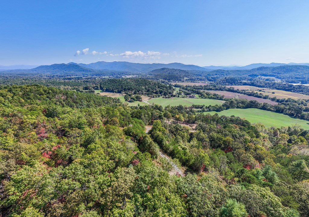 0 Mistletoe Ridge Murphy, NC 28906 - Photo 11 of 34