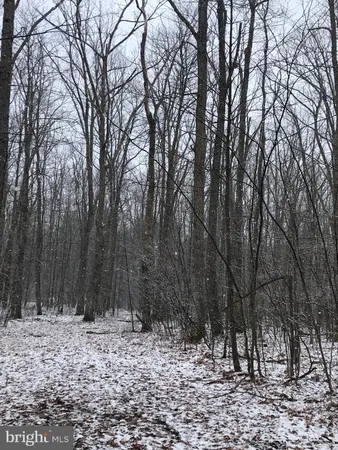 $106,000 | Lot 7-and Meadow Mountain Trail, Swanton, MD 21561