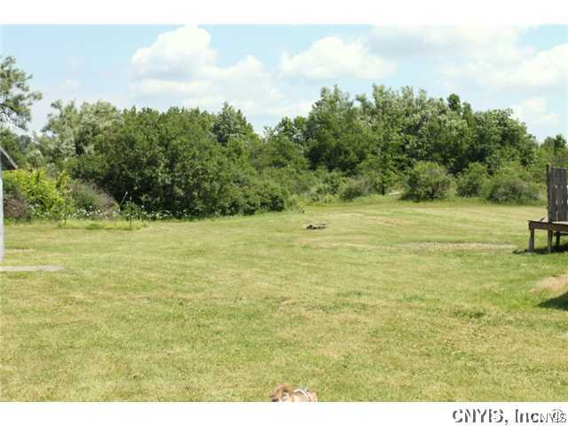 21831 Knowlesville Road Pamelia, NY 13601 - Photo 4 of 25 Yard Back yard