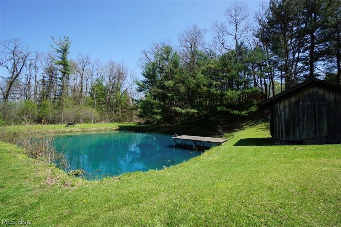 4173 South Ridge Road East Geneva, OH 44041 - Photo 33 of 42 Pond in rear yard