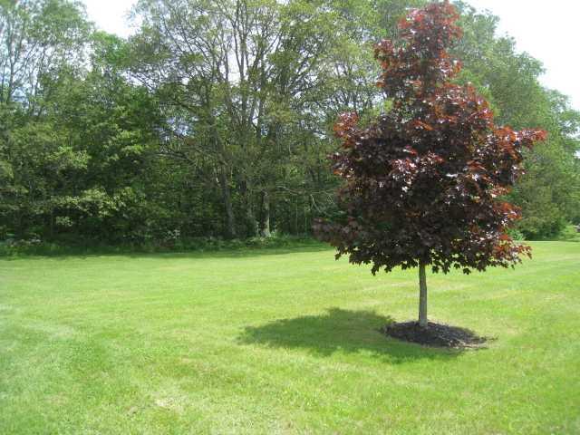 301 Wilson Pond Road Monmouth, ME 04265 - Photo 8 of 35 Yard/Garden.