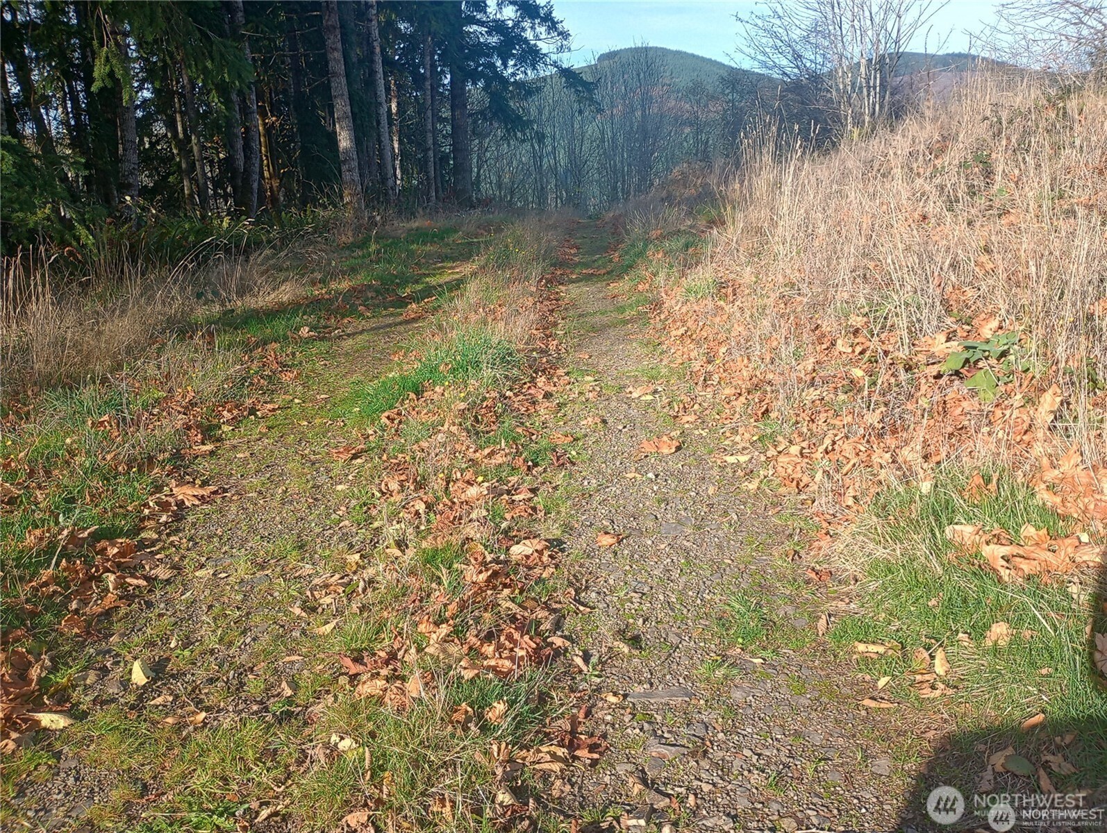 167 Wagner Road Kelso, WA 98626 - Photo 5 of 8