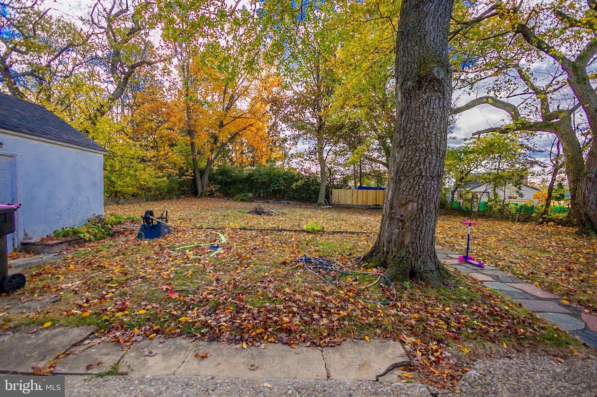 924 West Evesham Road Glendora, NJ 08029 - Photo 6 of 28 a view of a tree with a yard