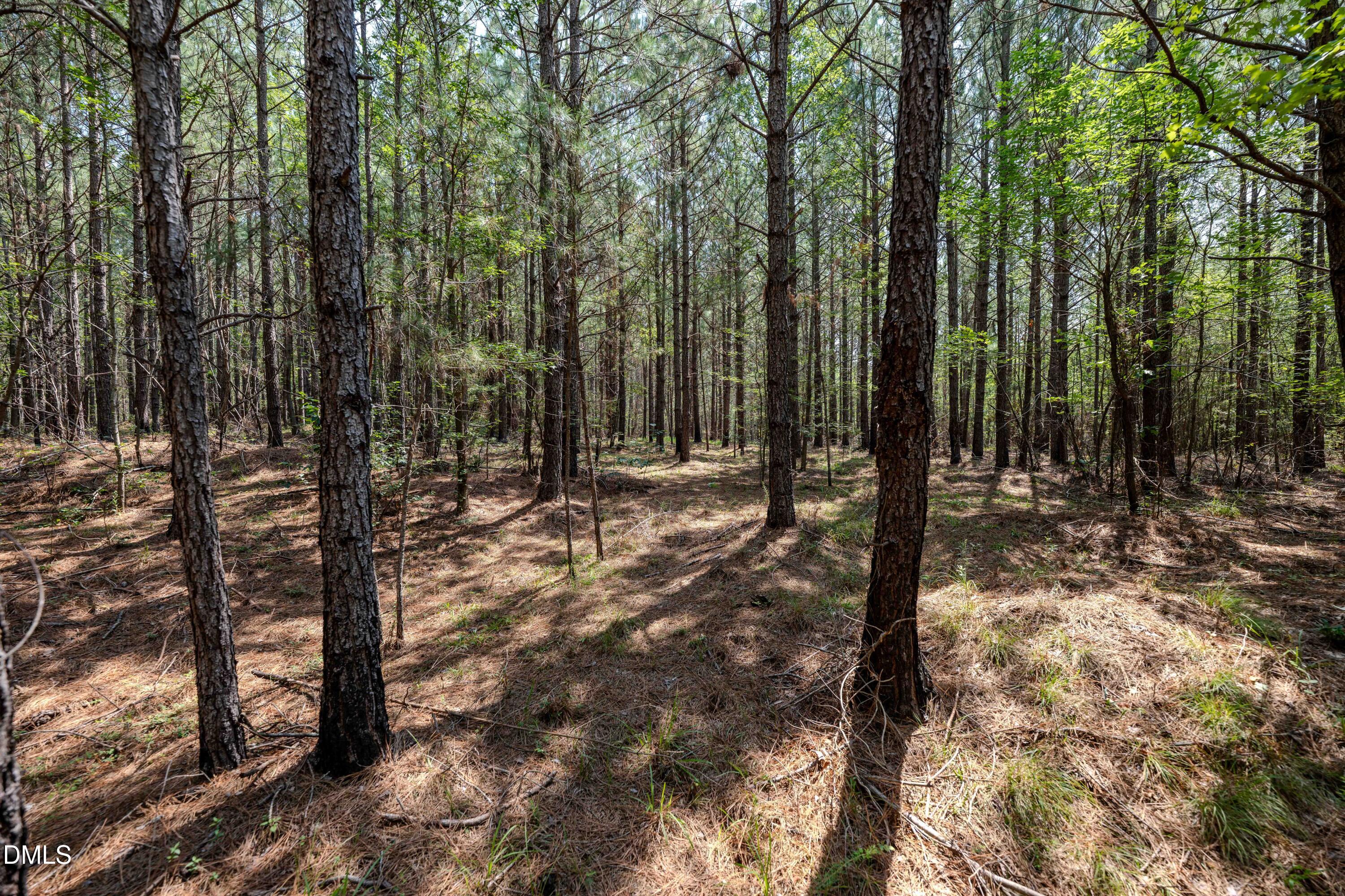0 Haw Branch Road Sanford, NC 27330 - Photo 24 of 41 Chatham Lumber 77.2 Ground-17