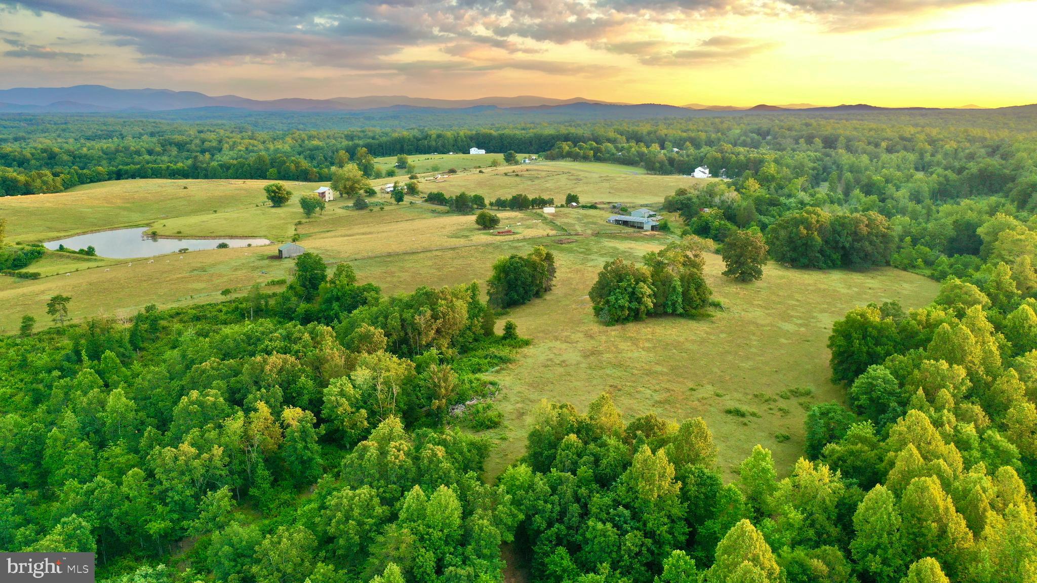 20335 Camp Road Culpeper, VA 22701 - Photo 11 of 70
