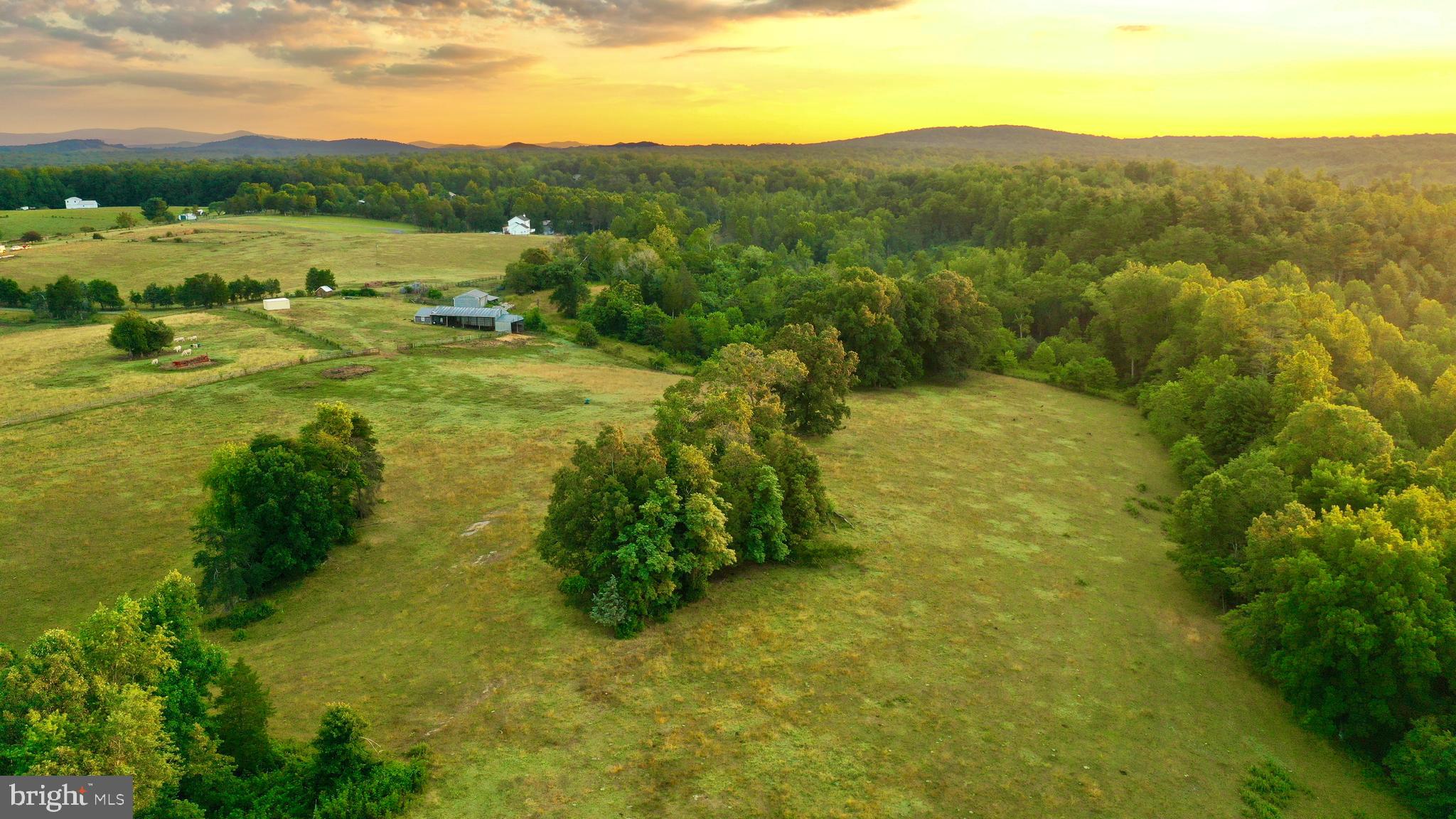 20335 Camp Road Culpeper, VA 22701 - Photo 12 of 70
