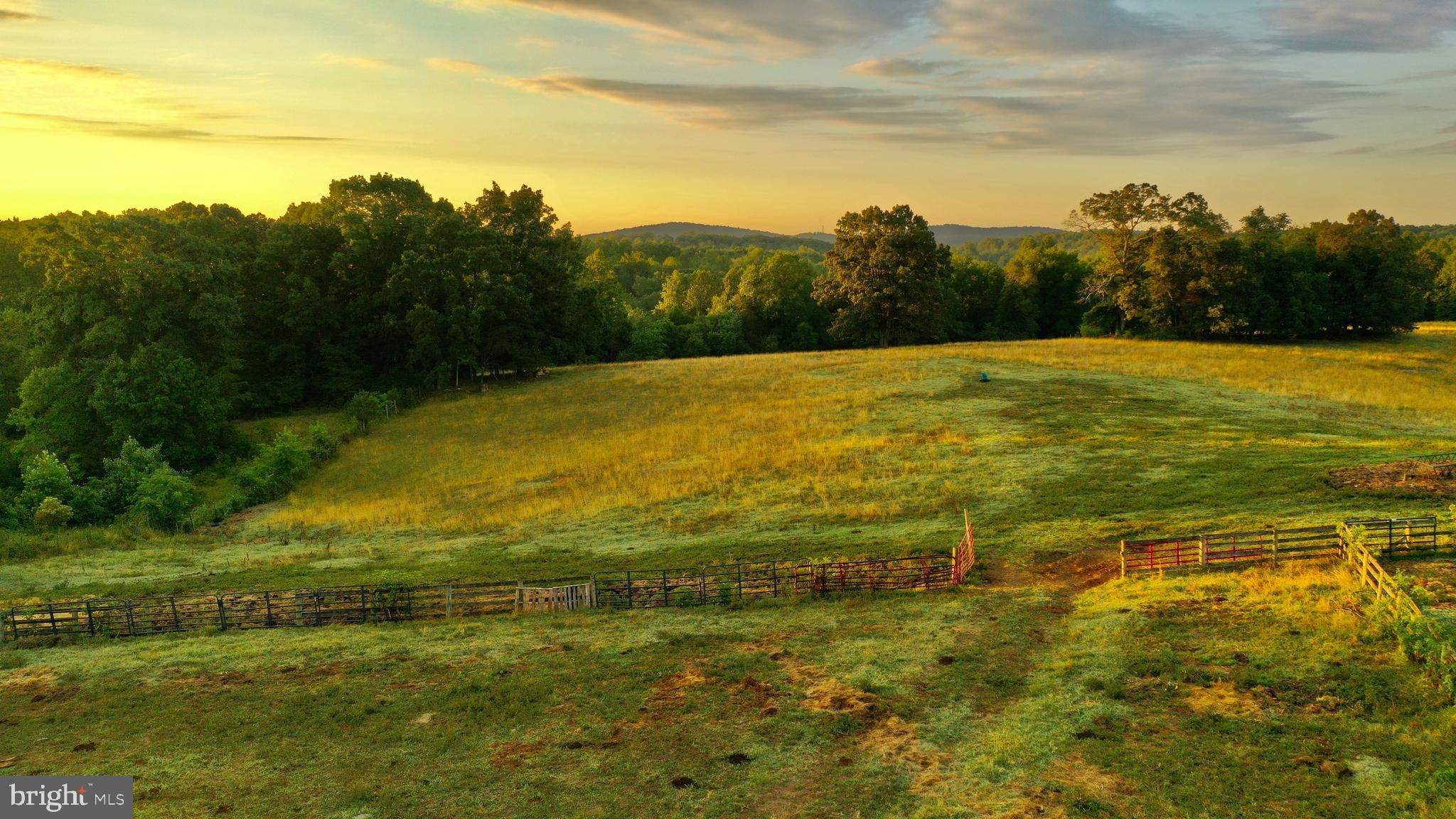 20335 Camp Road Culpeper, VA 22701 - Photo 14 of 70