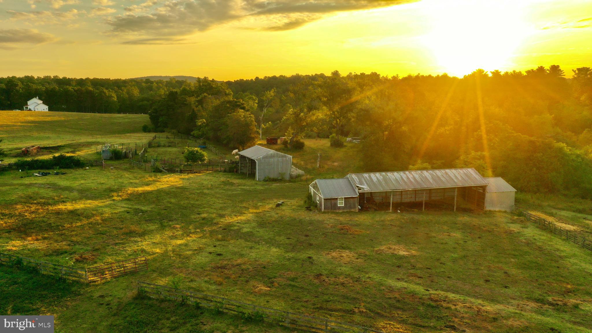 20335 Camp Road Culpeper, VA 22701 - Photo 15 of 70