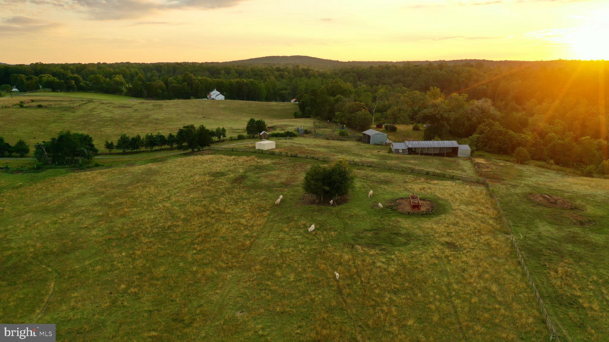 20335 Camp Road Culpeper, VA 22701 - Photo 16 of 70