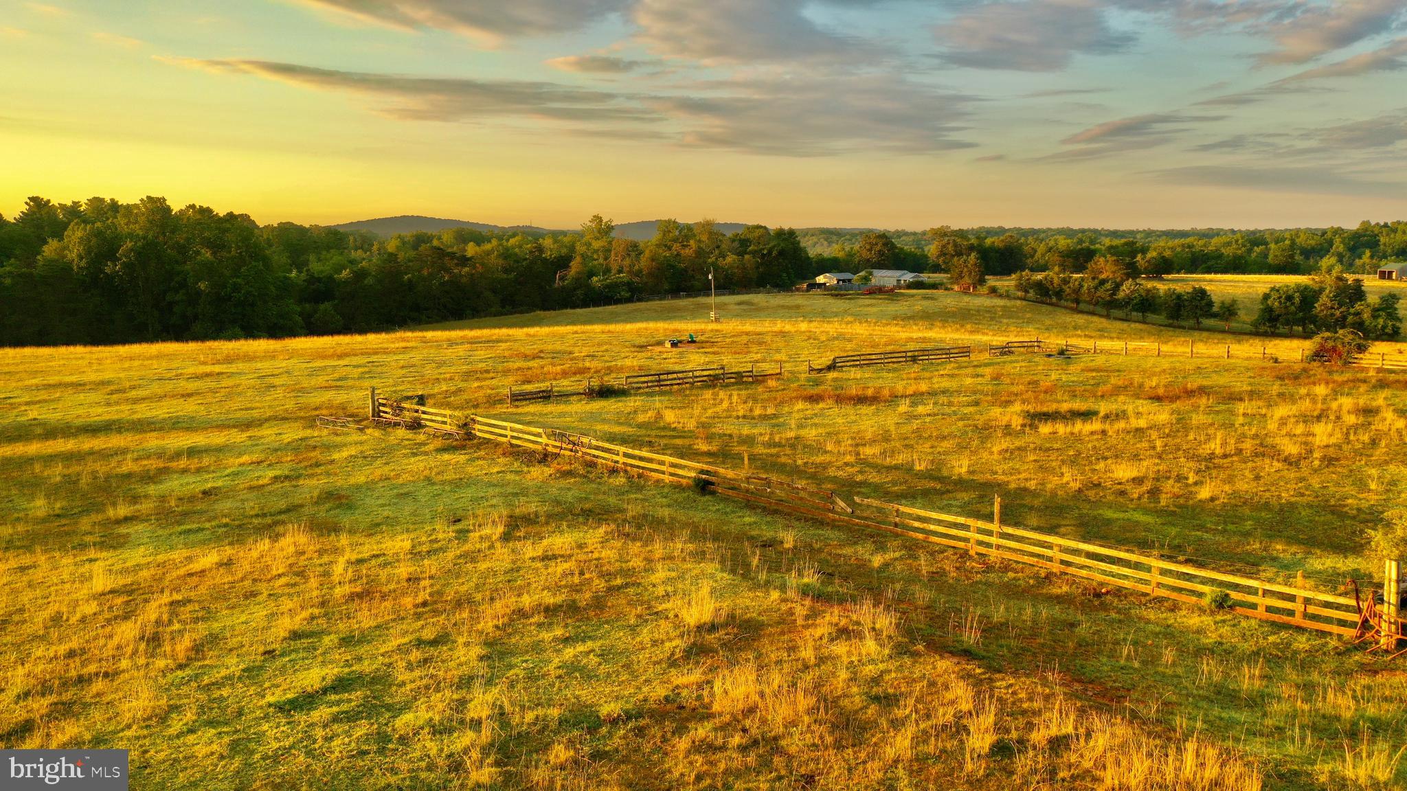 20335 Camp Road Culpeper, VA 22701 - Photo 18 of 70