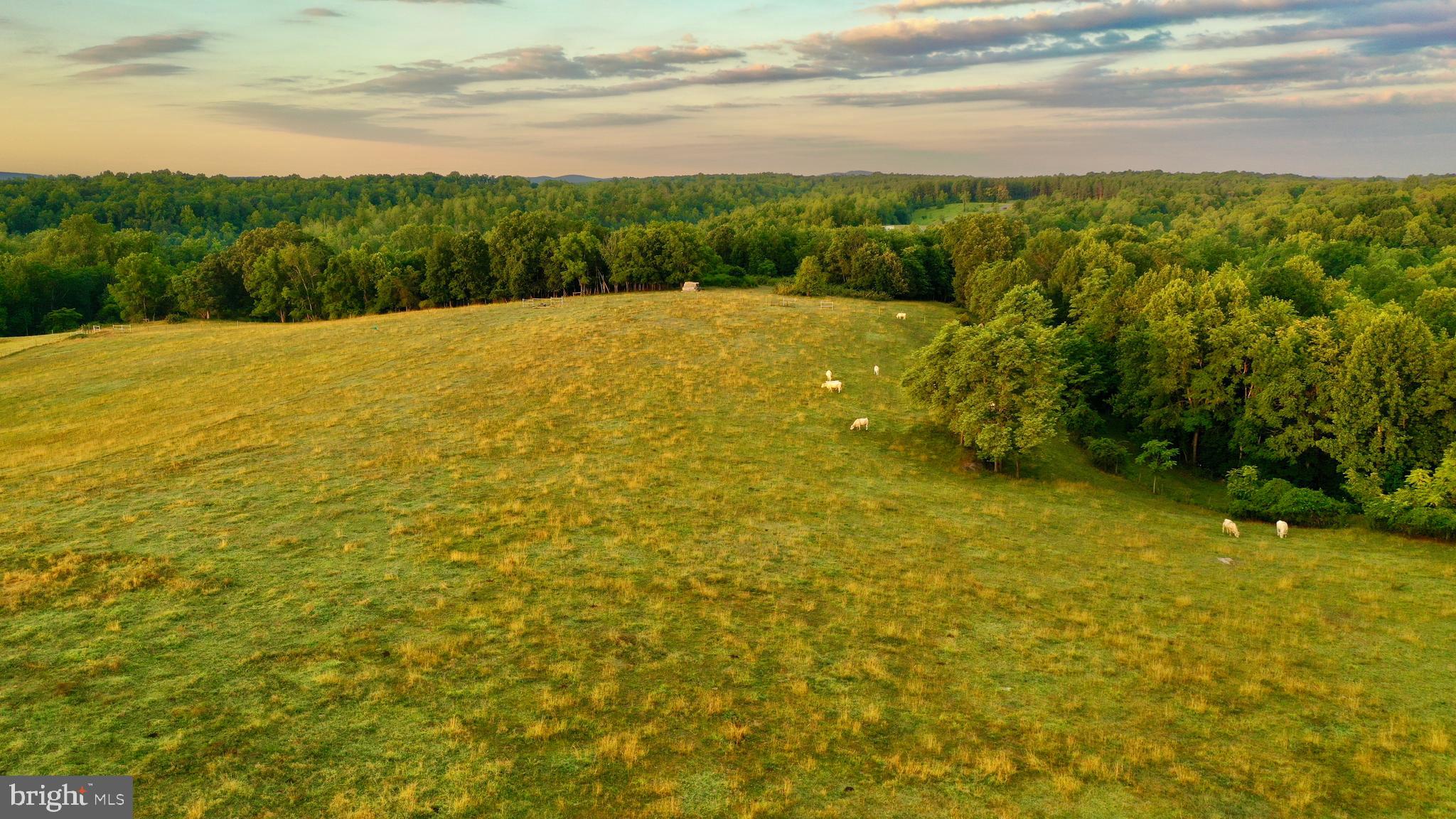 20335 Camp Road Culpeper, VA 22701 - Photo 23 of 70
