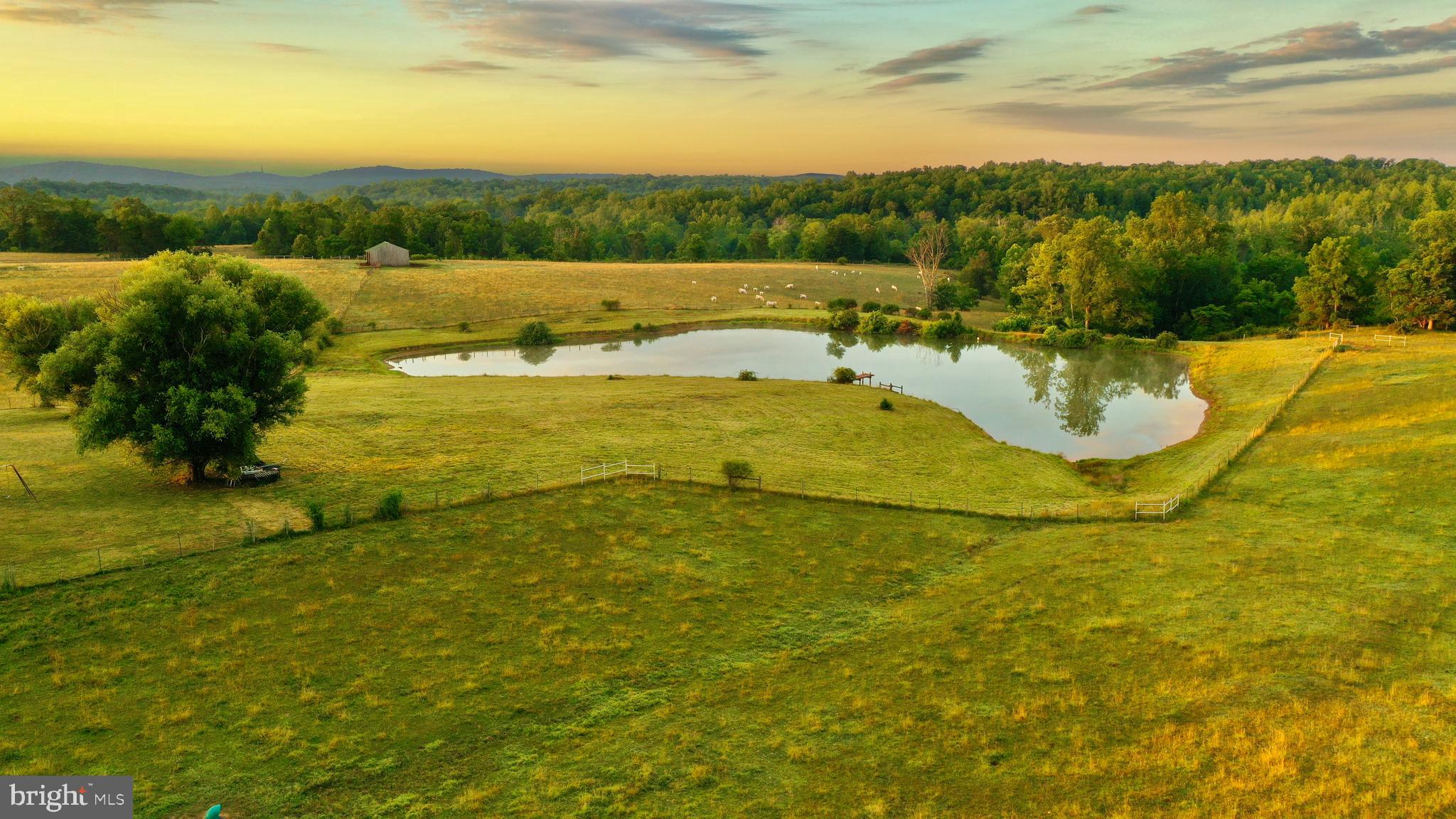 20335 Camp Road Culpeper, VA 22701 - Photo 24 of 70