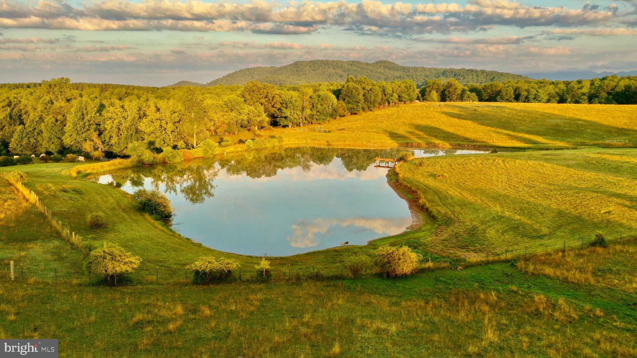 20335 Camp Road Culpeper, VA 22701 - Photo 27 of 70
