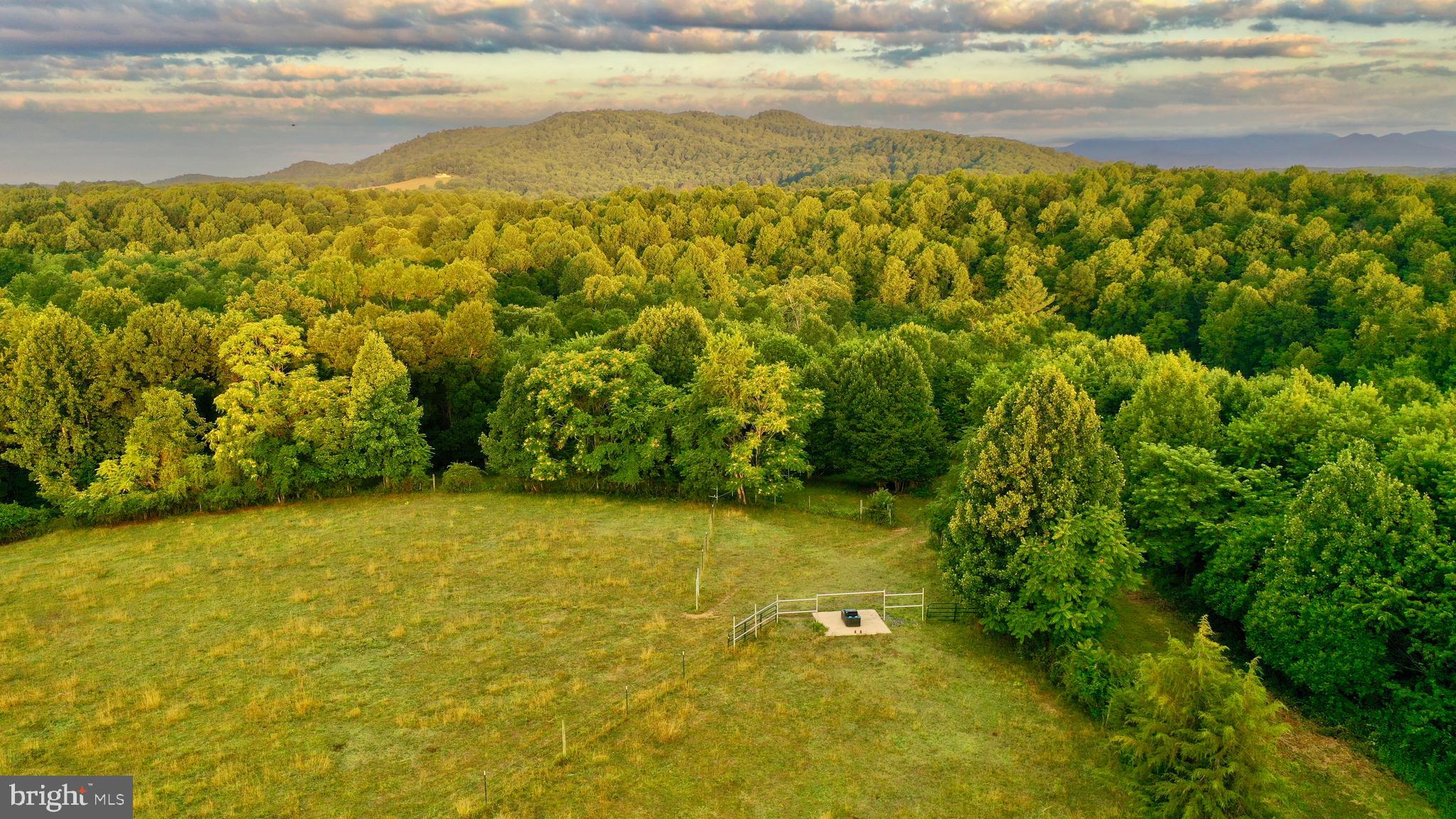 20335 Camp Road Culpeper, VA 22701 - Photo 28 of 70