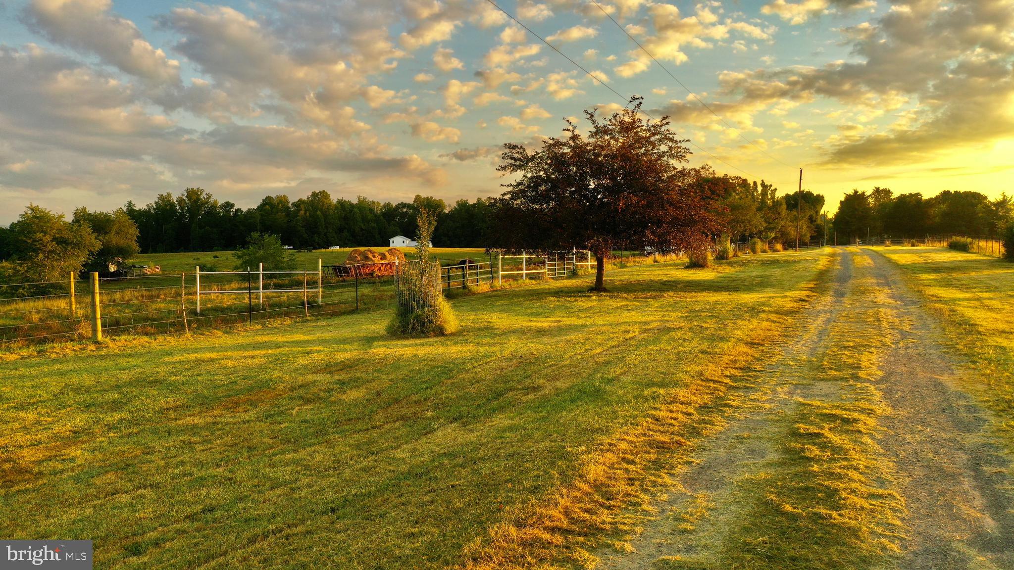 20335 Camp Road Culpeper, VA 22701 - Photo 32 of 70