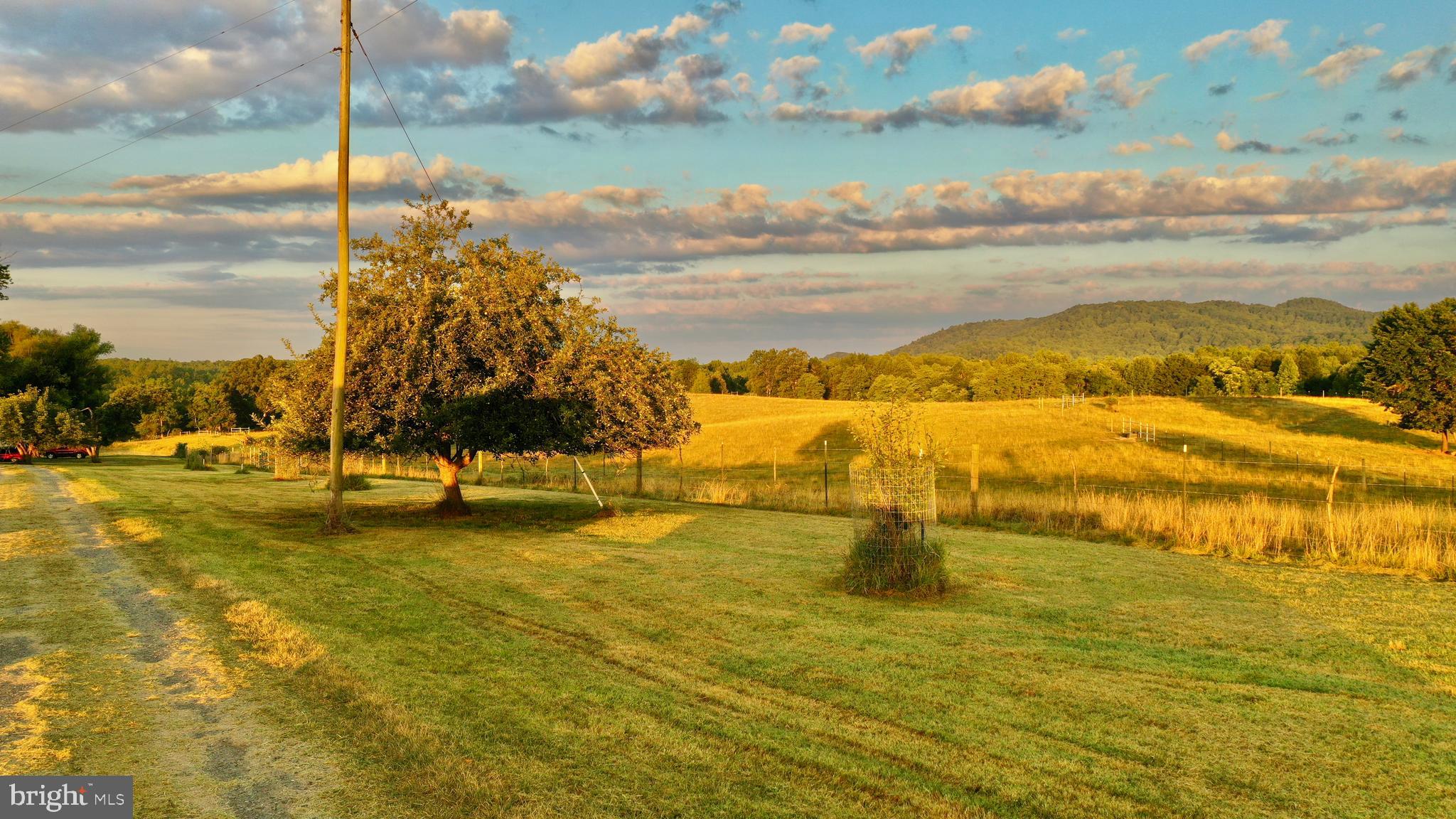 20335 Camp Road Culpeper, VA 22701 - Photo 34 of 70