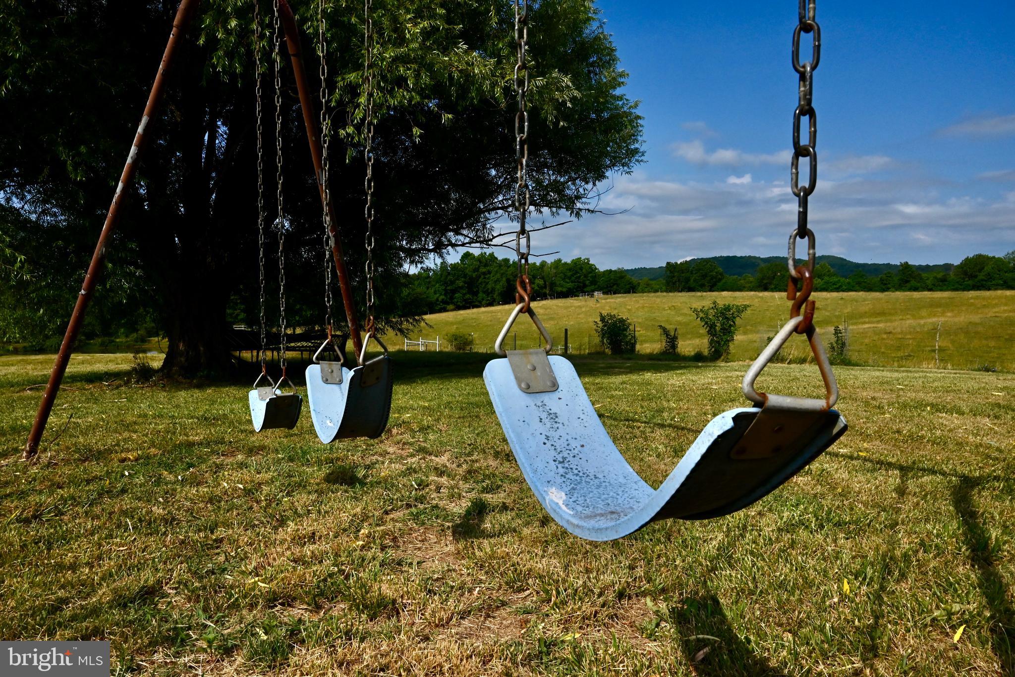 20335 Camp Road Culpeper, VA 22701 - Photo 39 of 70