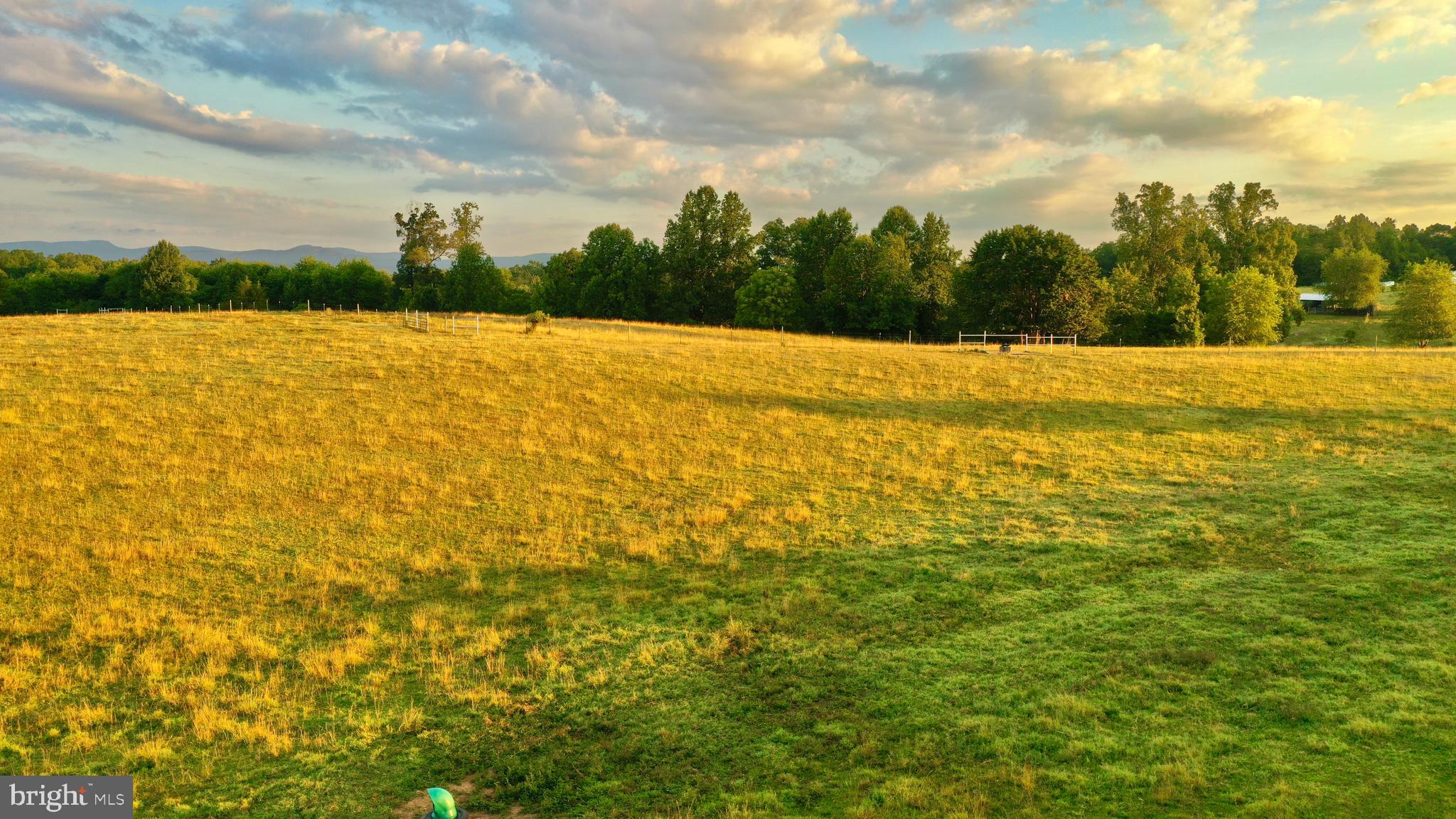 20335 Camp Road Culpeper, VA 22701 - Photo 40 of 70