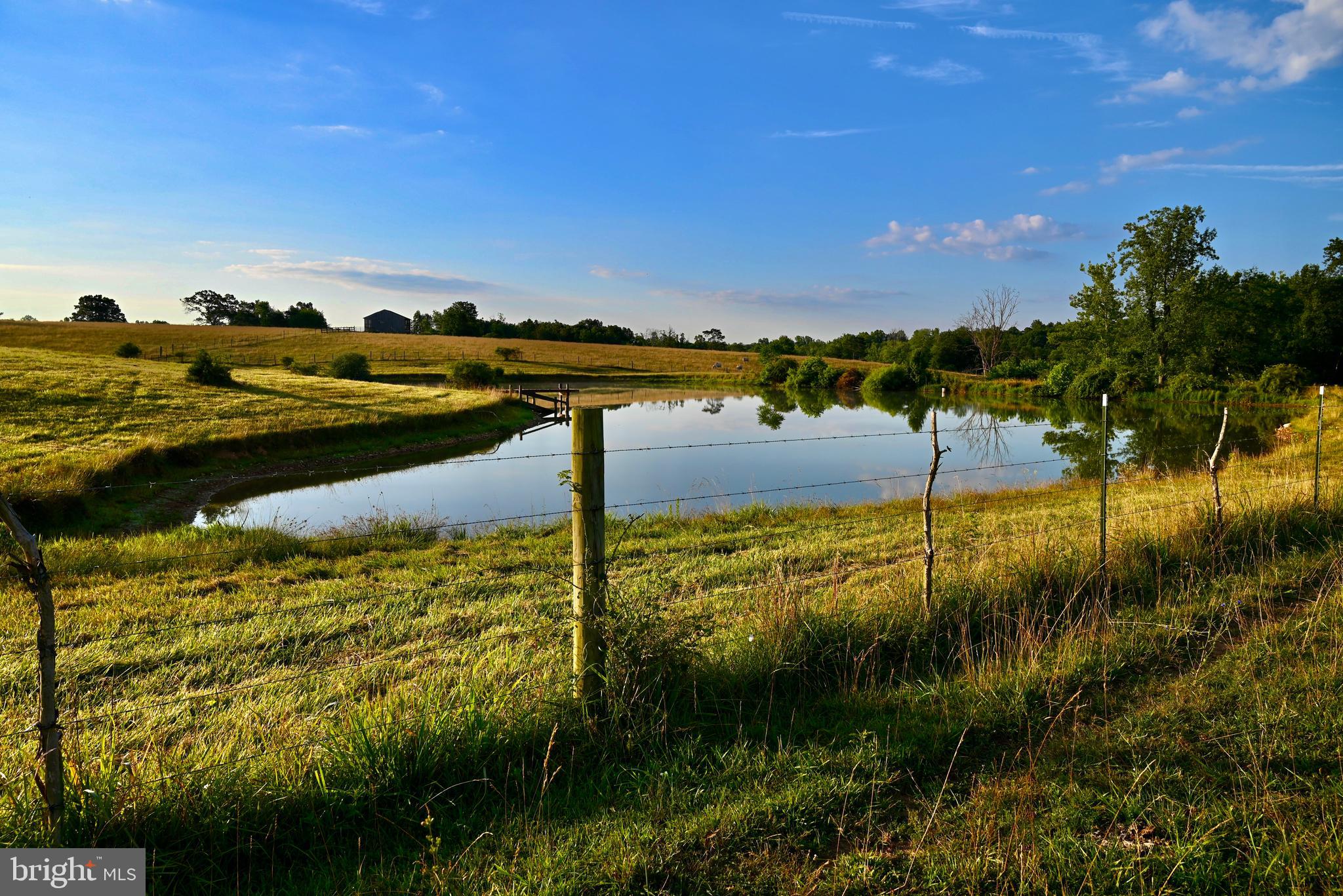 20335 Camp Road Culpeper, VA 22701 - Photo 43 of 70