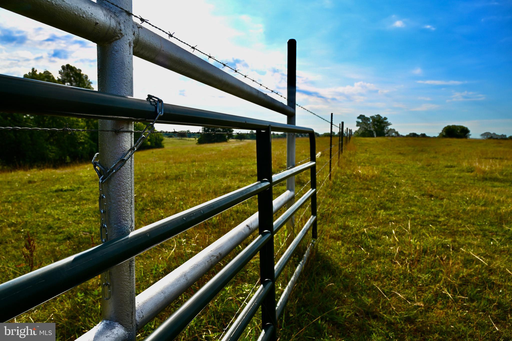 20335 Camp Road Culpeper, VA 22701 - Photo 45 of 70