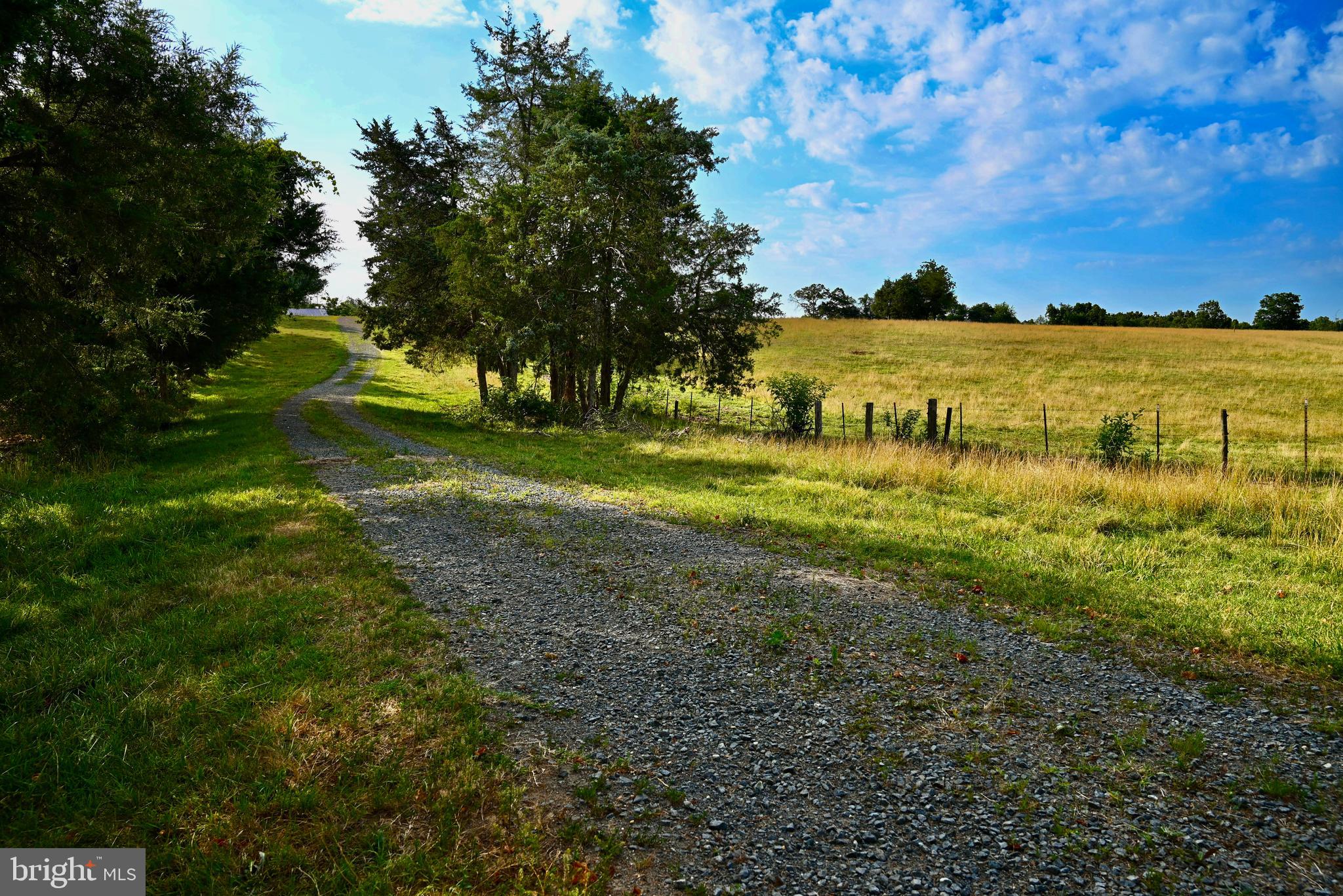 20335 Camp Road Culpeper, VA 22701 - Photo 46 of 70