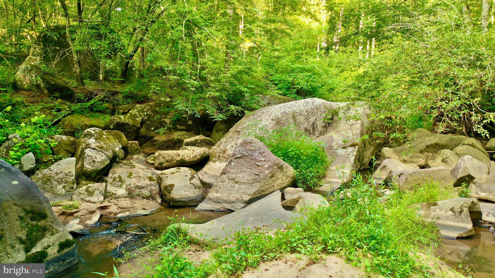 20335 Camp Road Culpeper, VA 22701 - Photo 48 of 70